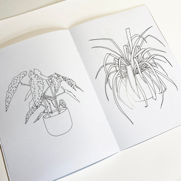 Houseplant Colouring Book