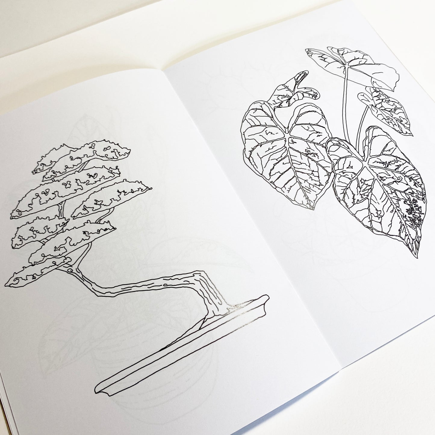 Houseplant Colouring Book