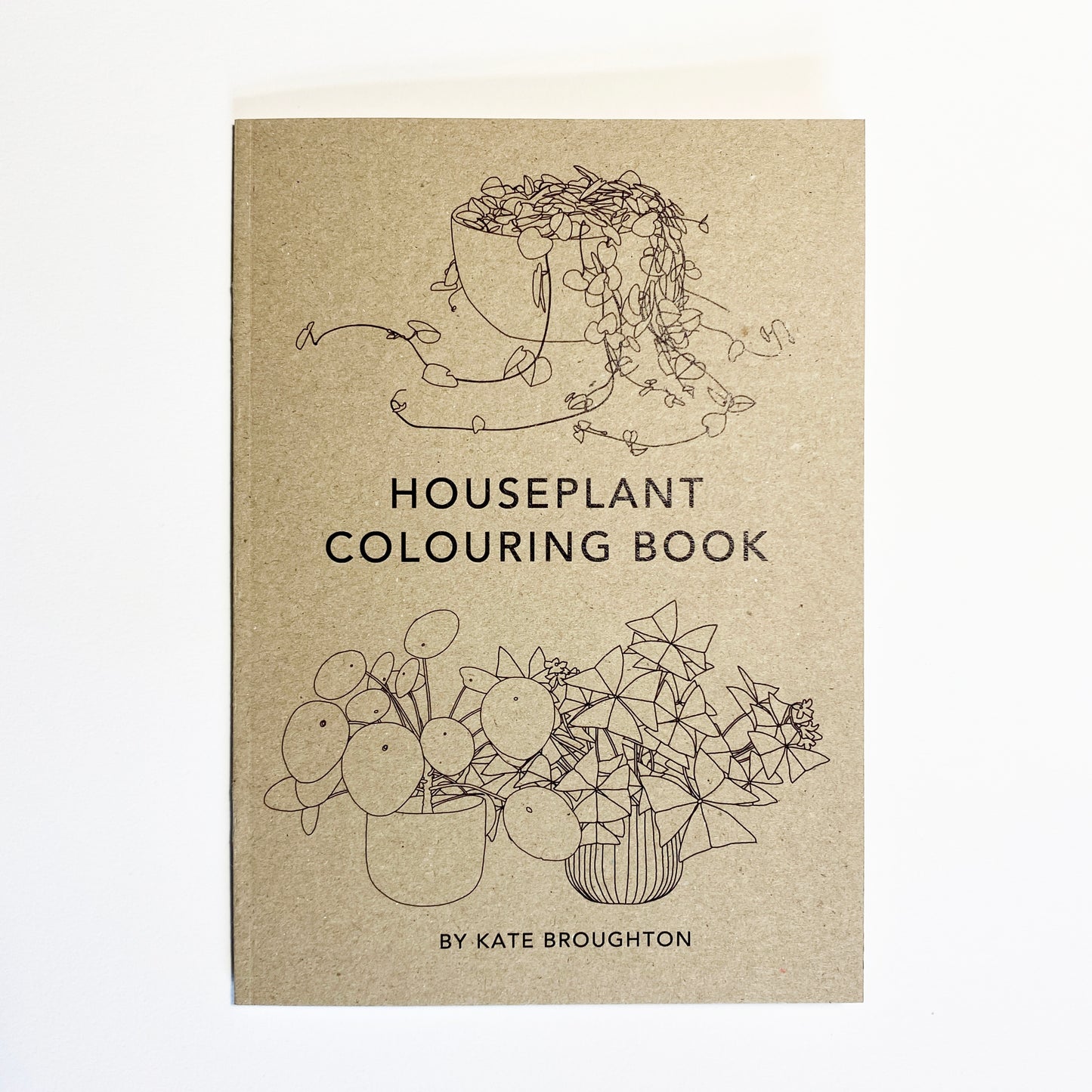 Houseplant Colouring Book