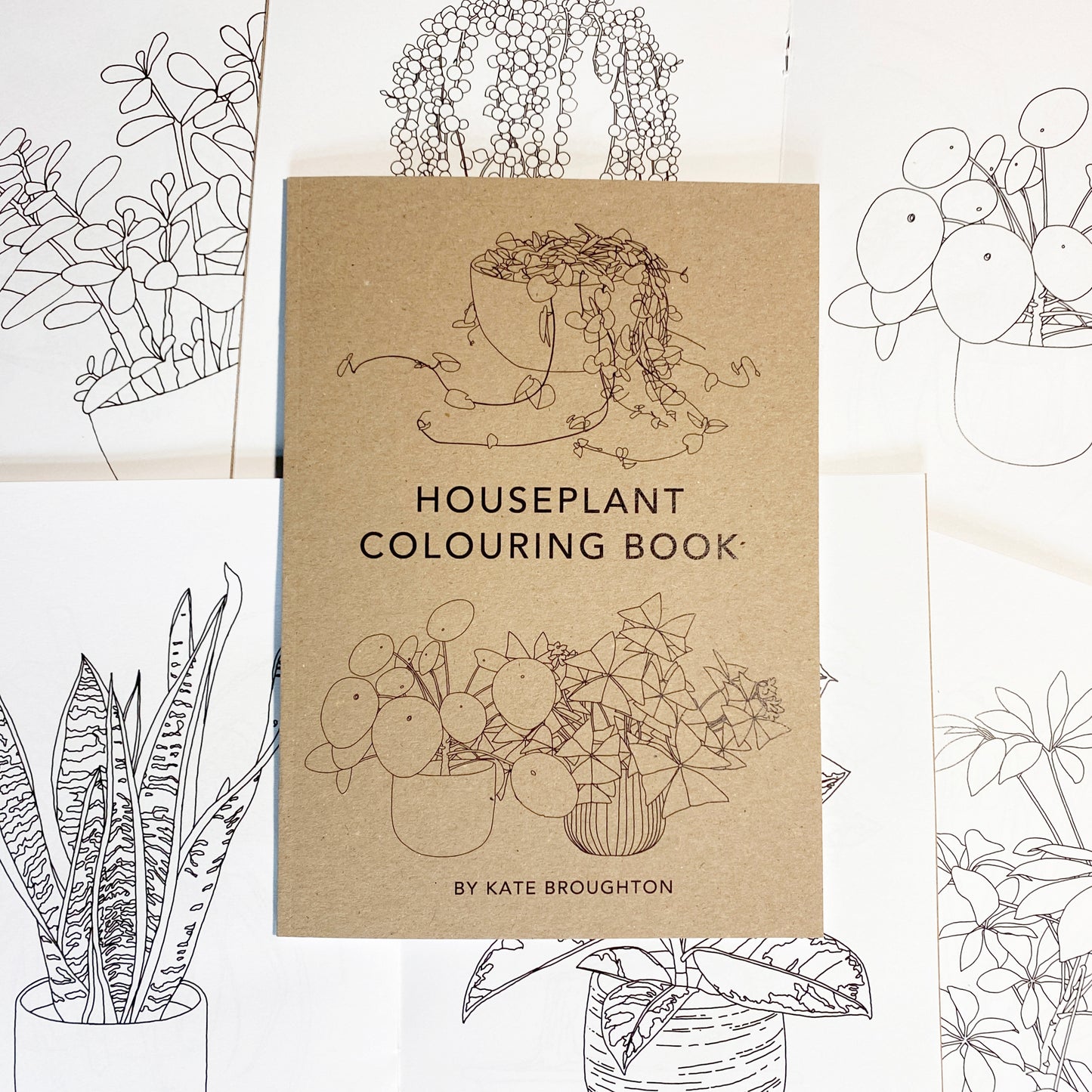 Houseplant Colouring Book