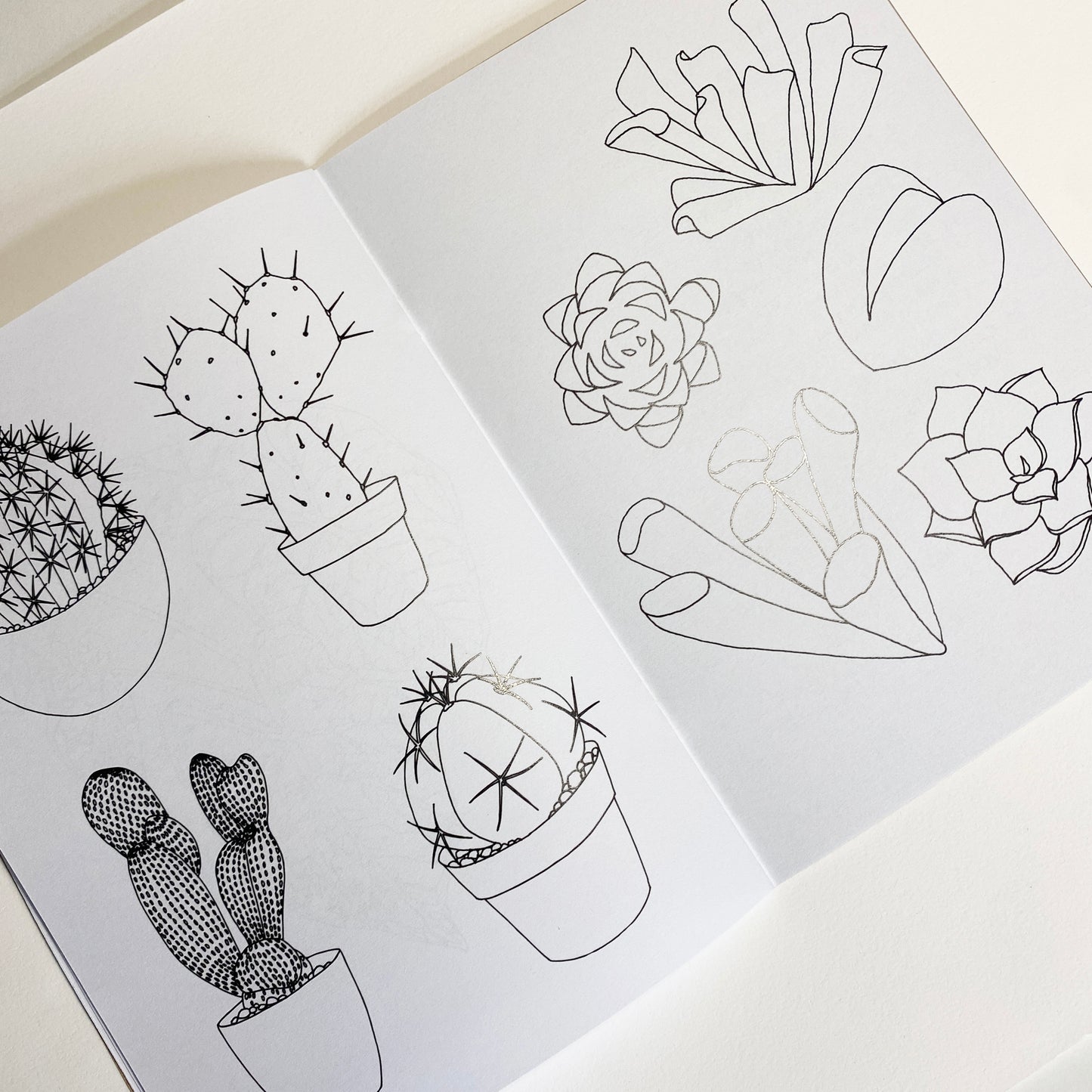 Houseplant Colouring Book