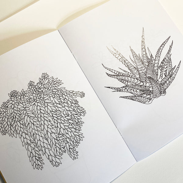 Houseplant Colouring Book