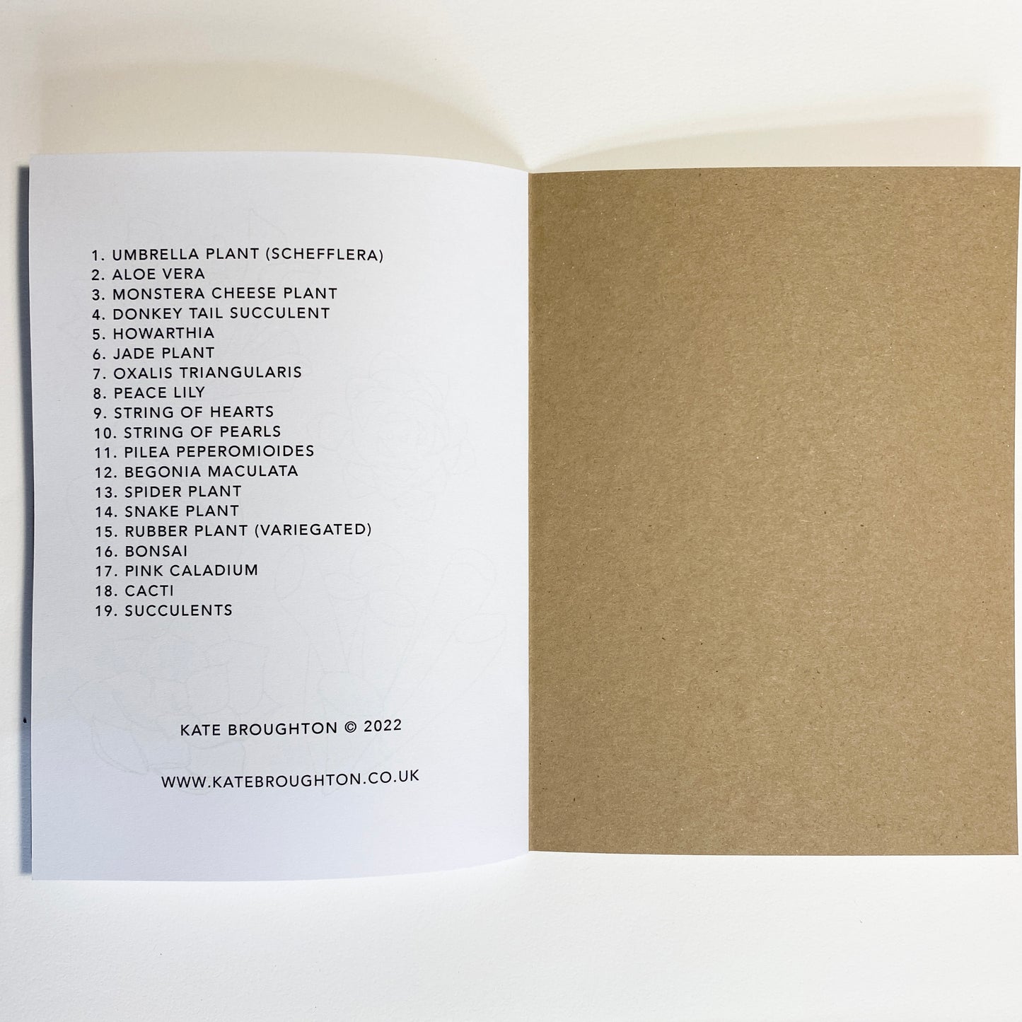 Houseplant Colouring Book