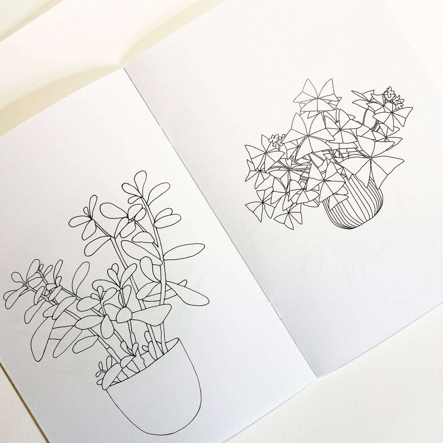 Houseplant Colouring Book