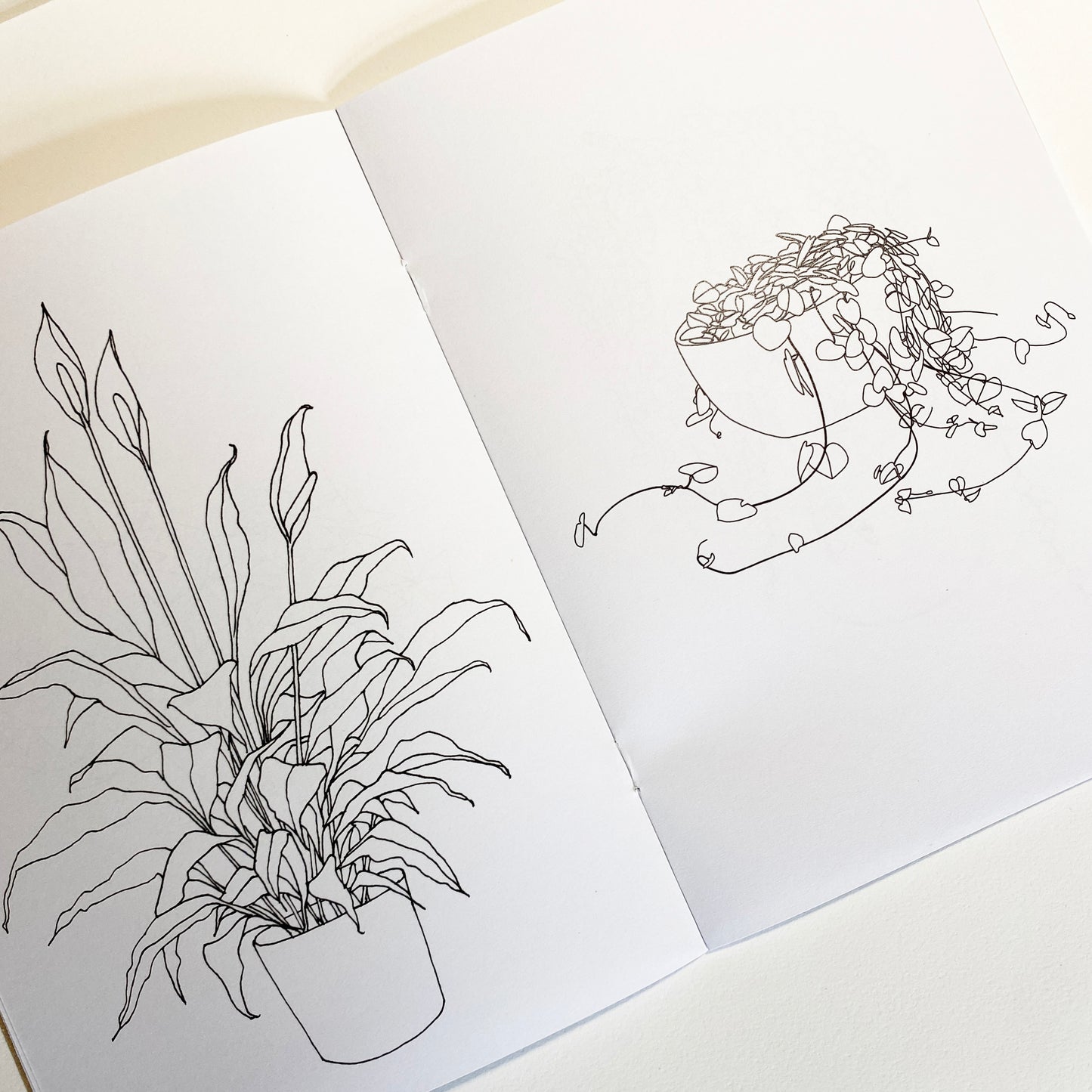 Houseplant Colouring Book