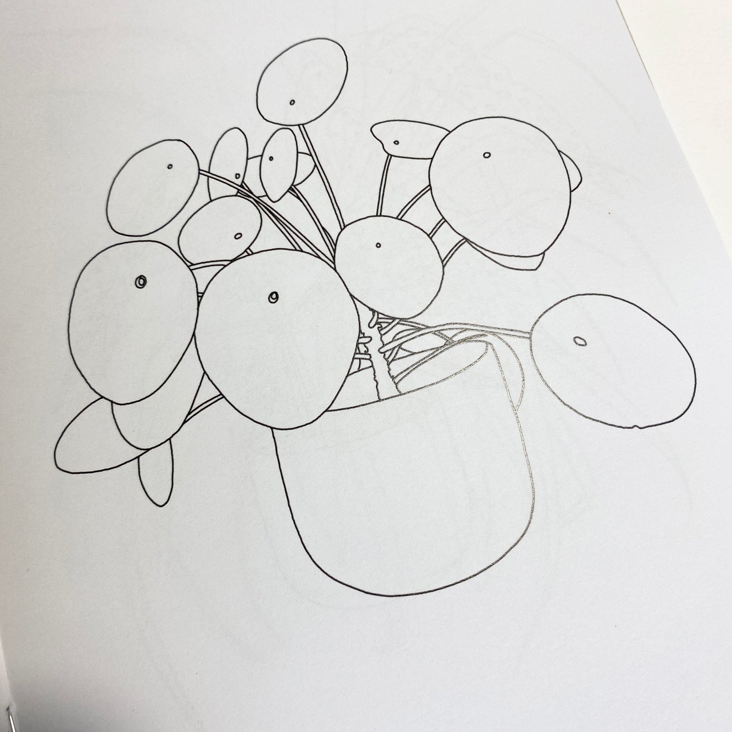 Houseplant Colouring Book