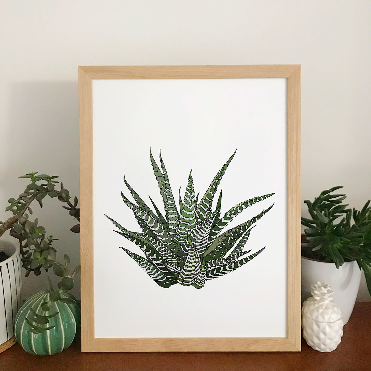 Howarthia Plant Print - katebroughton