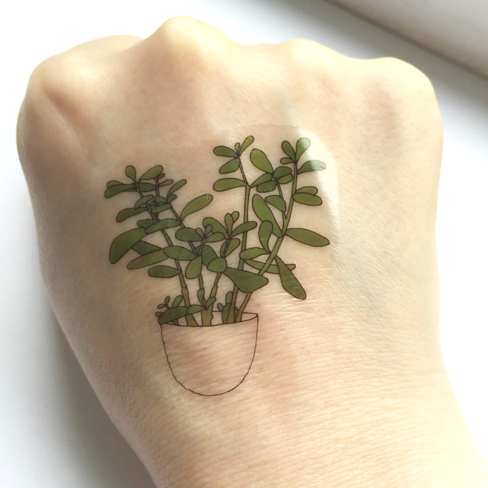 Plant Temporary Tattoos - katebroughton