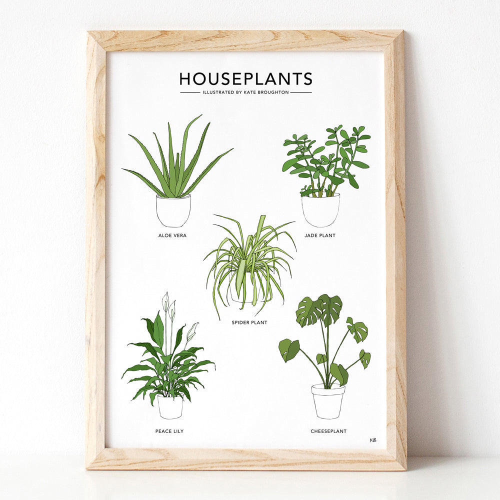 Houseplants Print - katebroughton