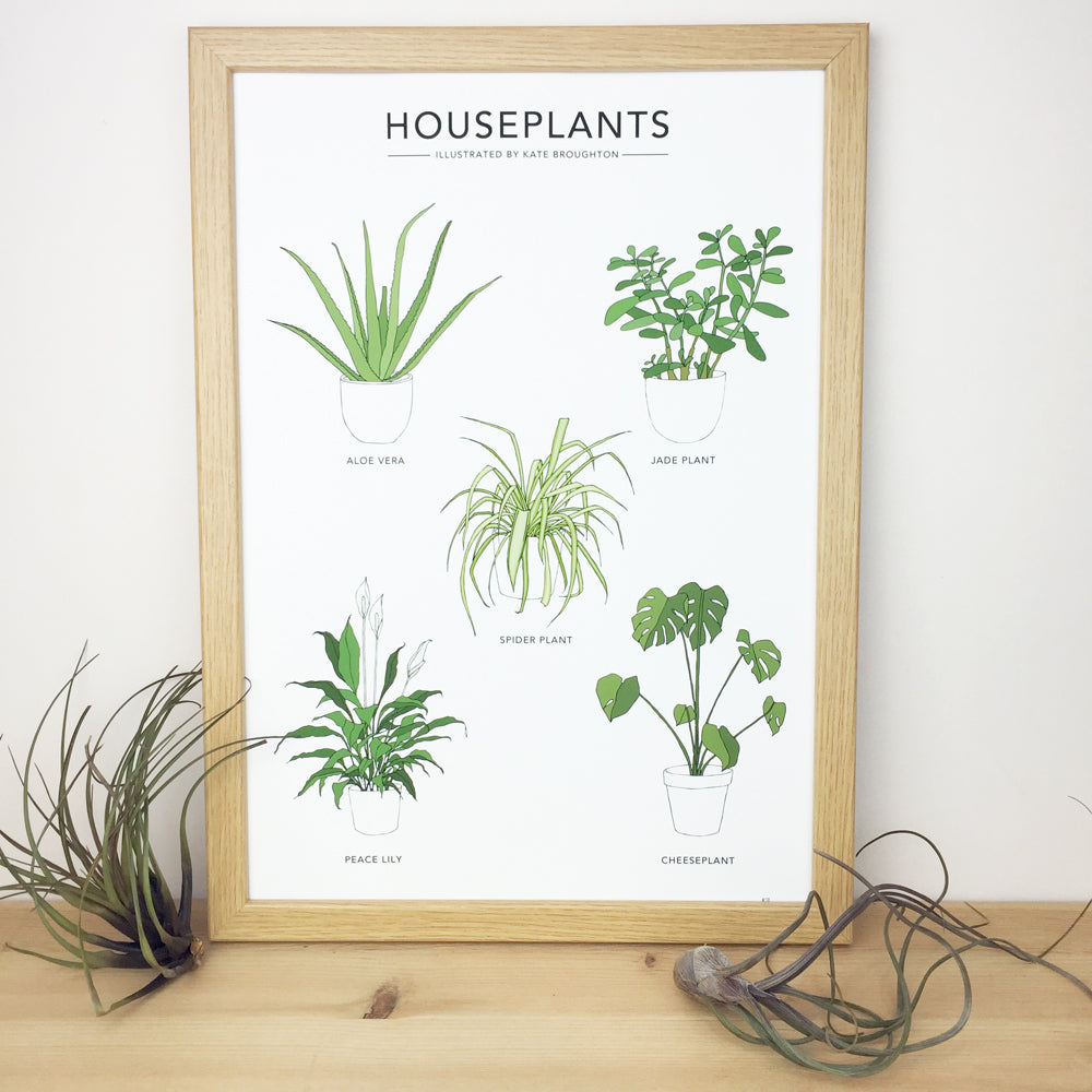 Houseplants Print - katebroughton