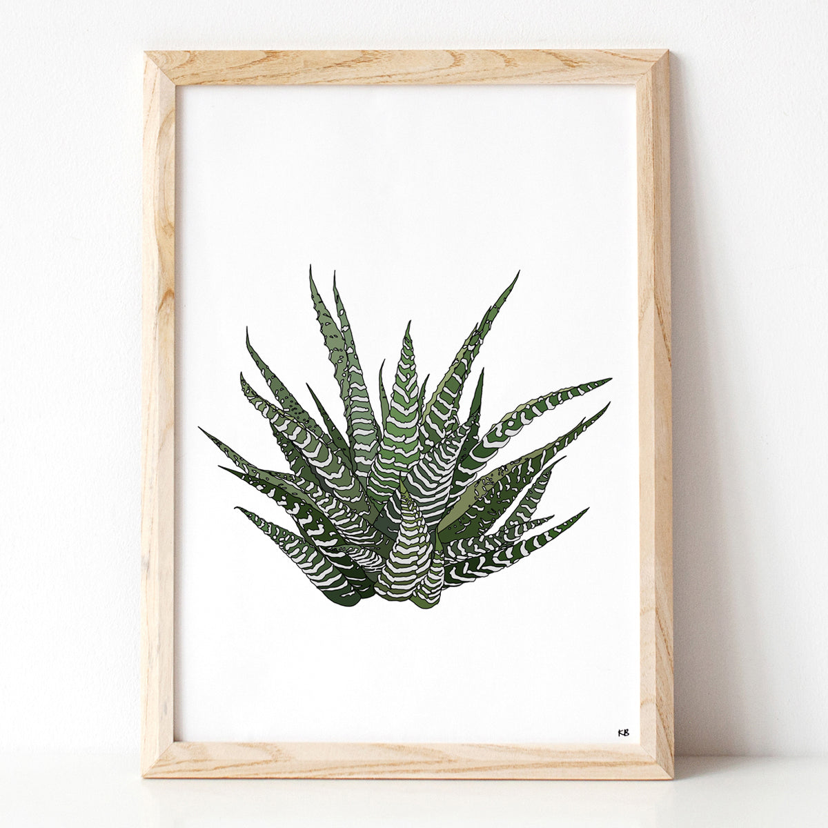Howarthia Plant Print - katebroughton