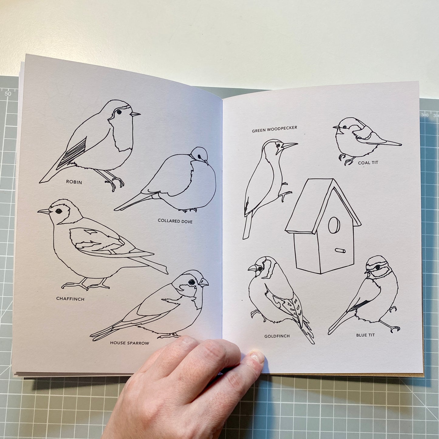 Garden Colouring Book