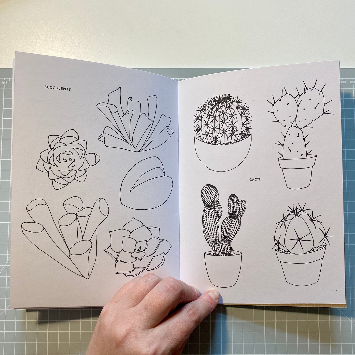 Garden Colouring Book