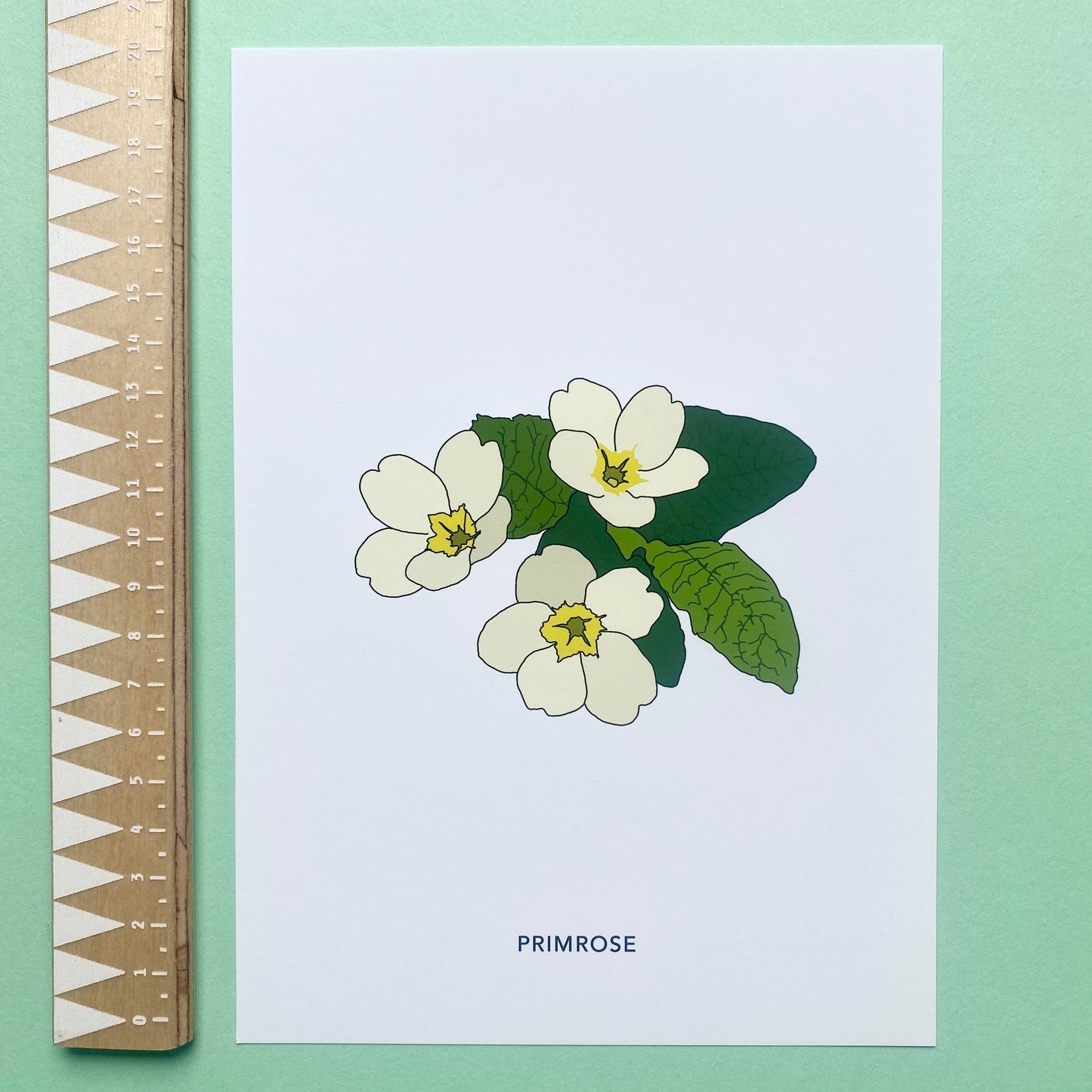 Primrose wildflower print