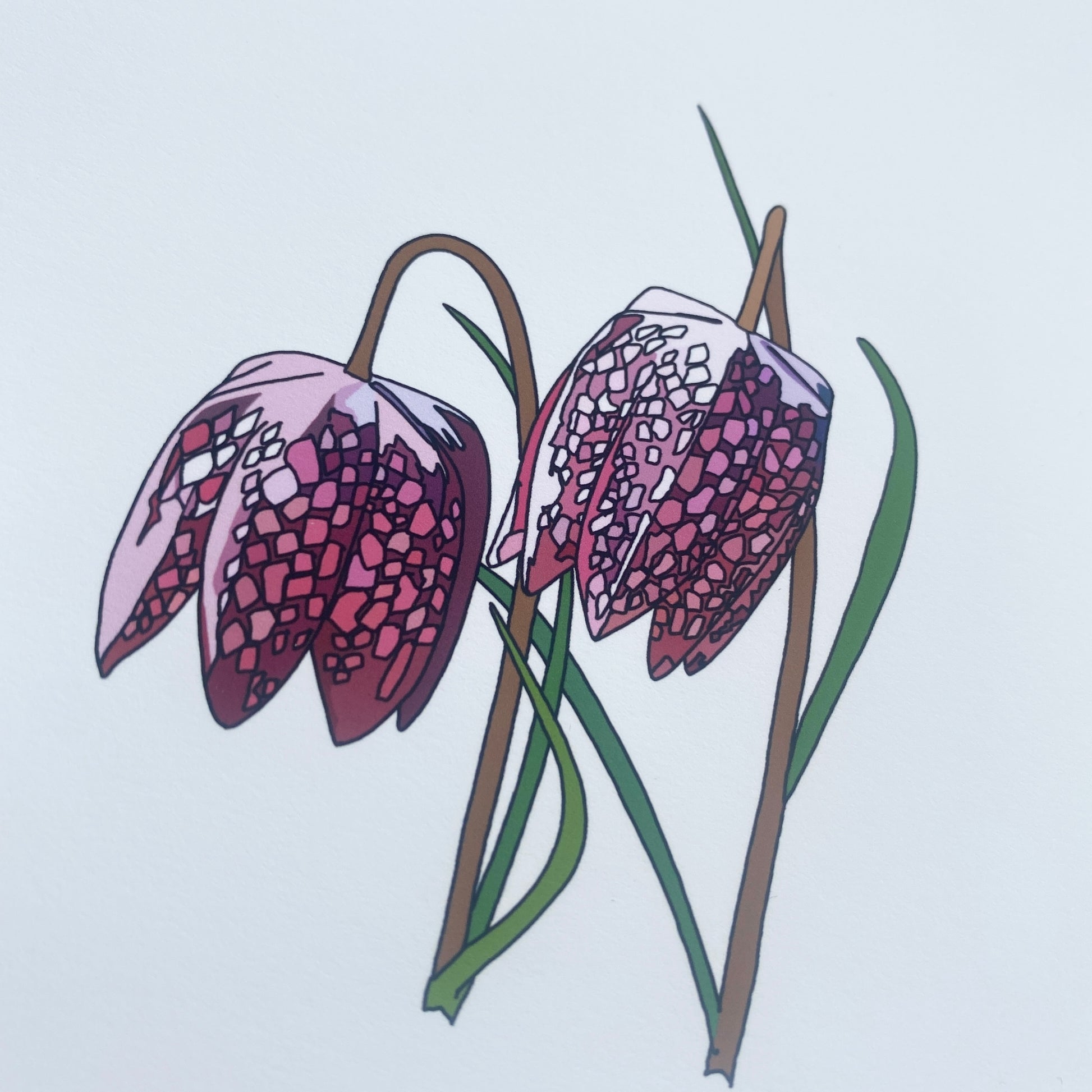 Snake's Head Fritillary wildflower print - katebroughton