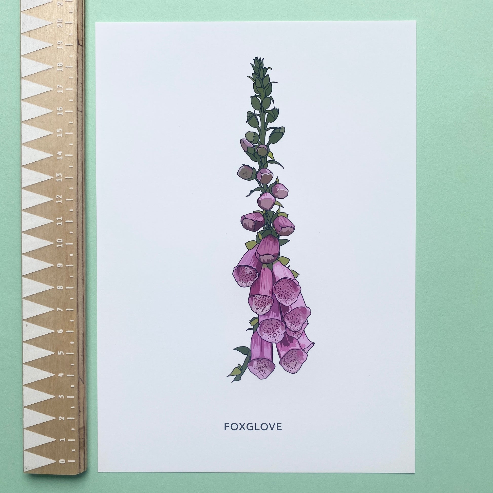 Foxglove wildflower print - katebroughton