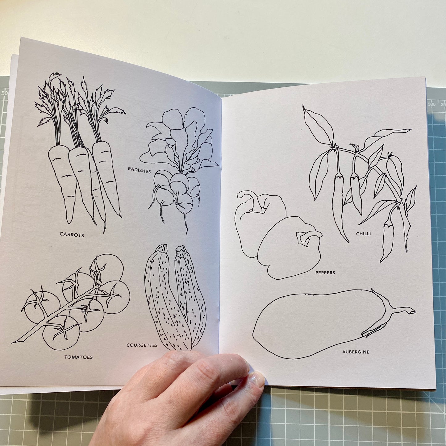 Garden Colouring Book