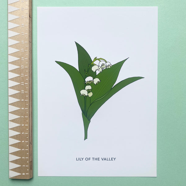 Lily of the valley wildflower print