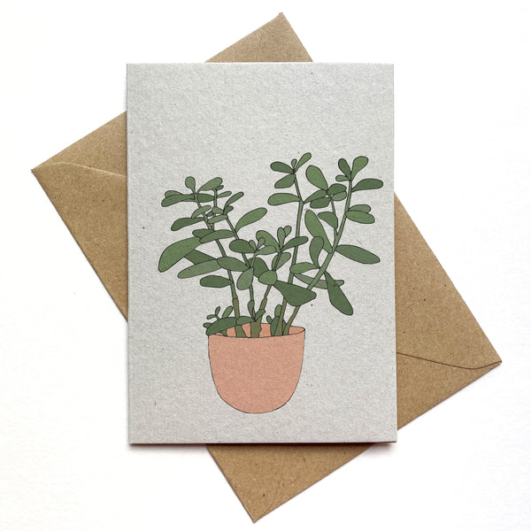 Jade Houseplant Card