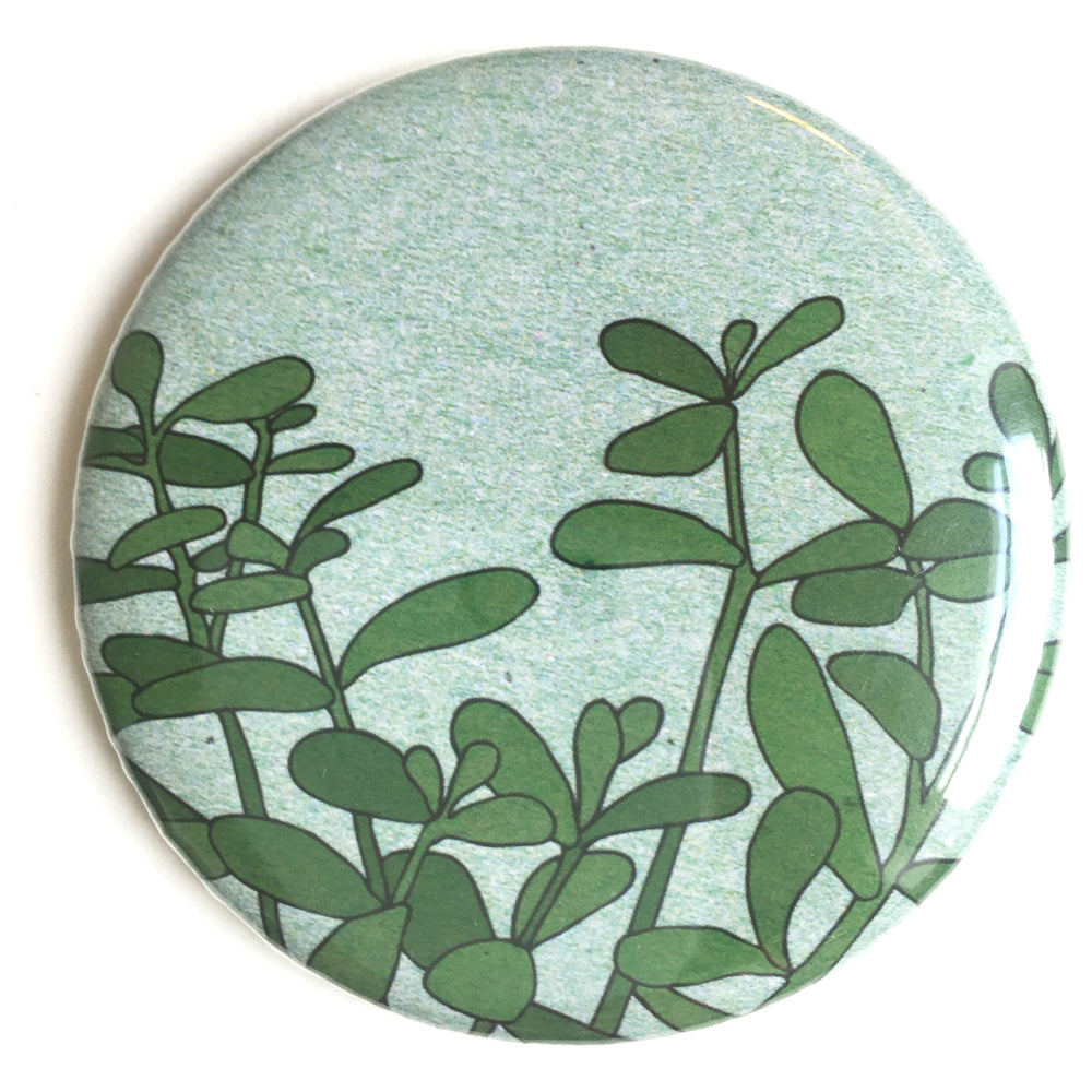 Houseplant pocket mirror
