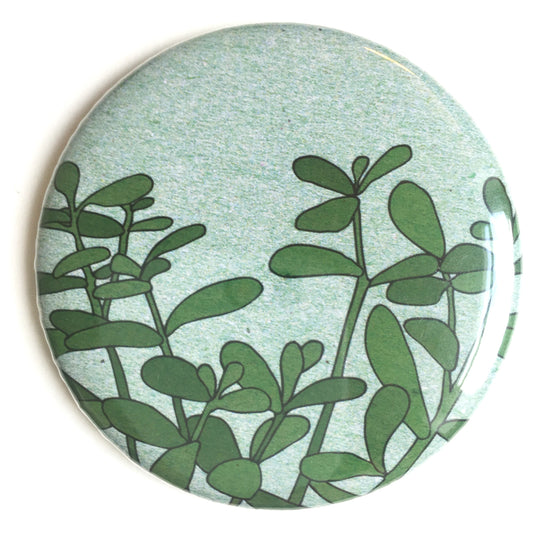 Houseplant pocket mirror