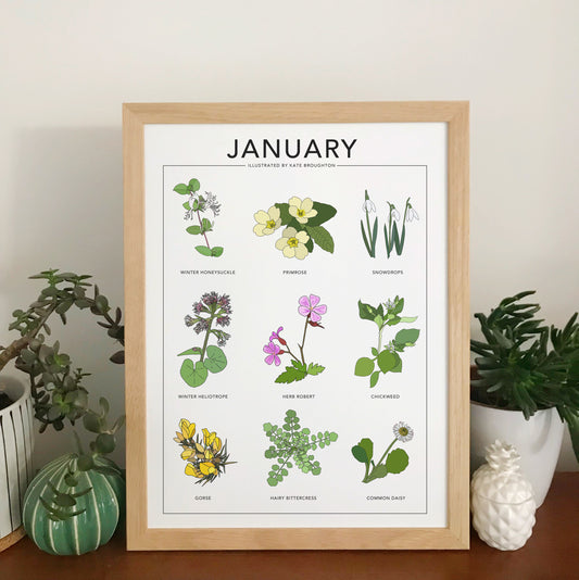 January wildflower nature print