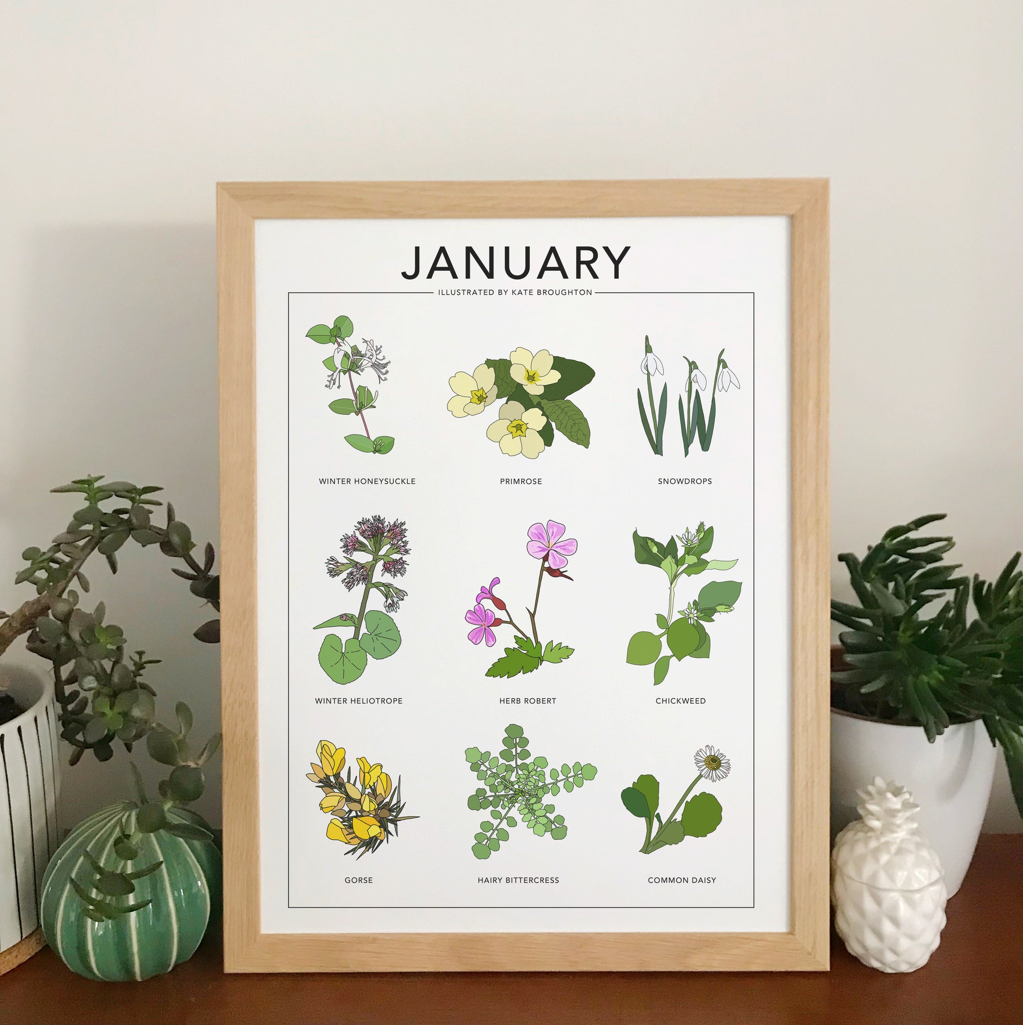 January wildflower nature print