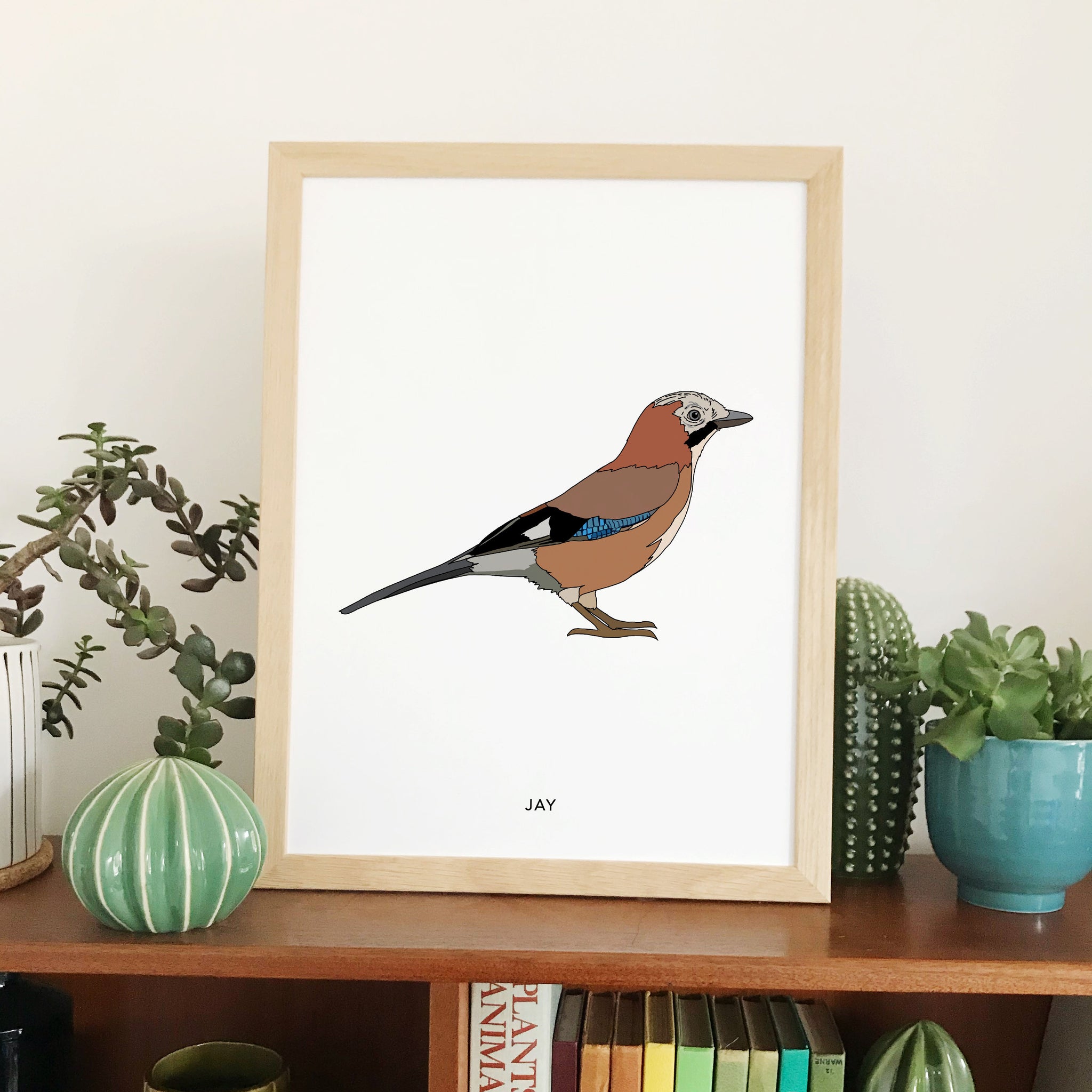Jay bird print