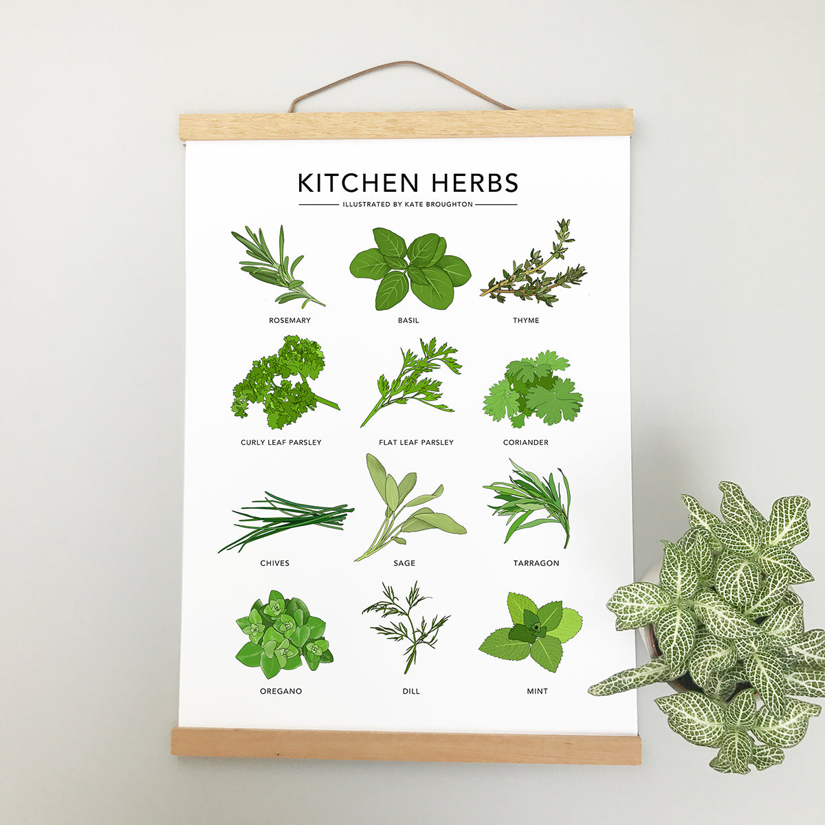 Kitchen Herbs Print - katebroughton