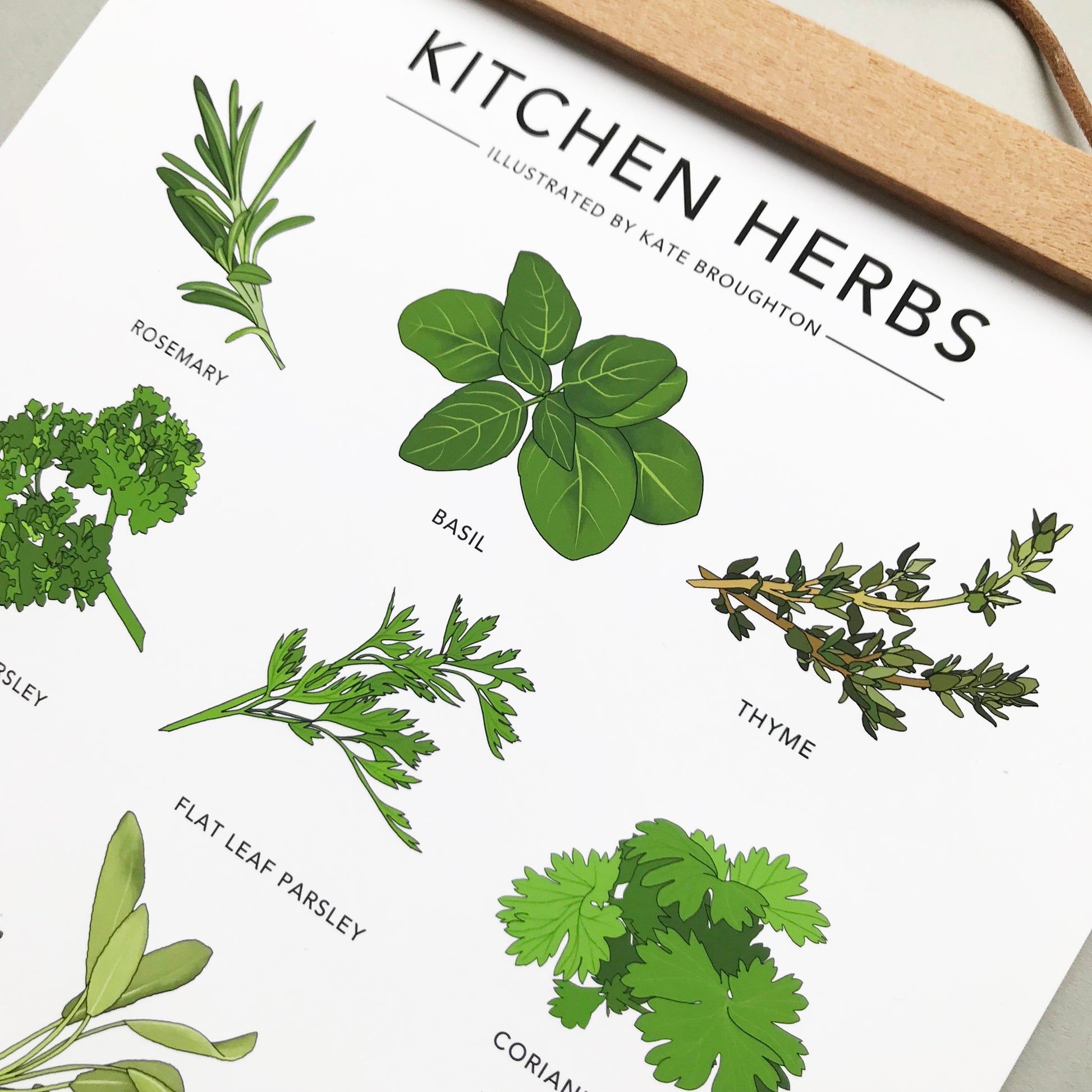 Kitchen Herbs Print - katebroughton