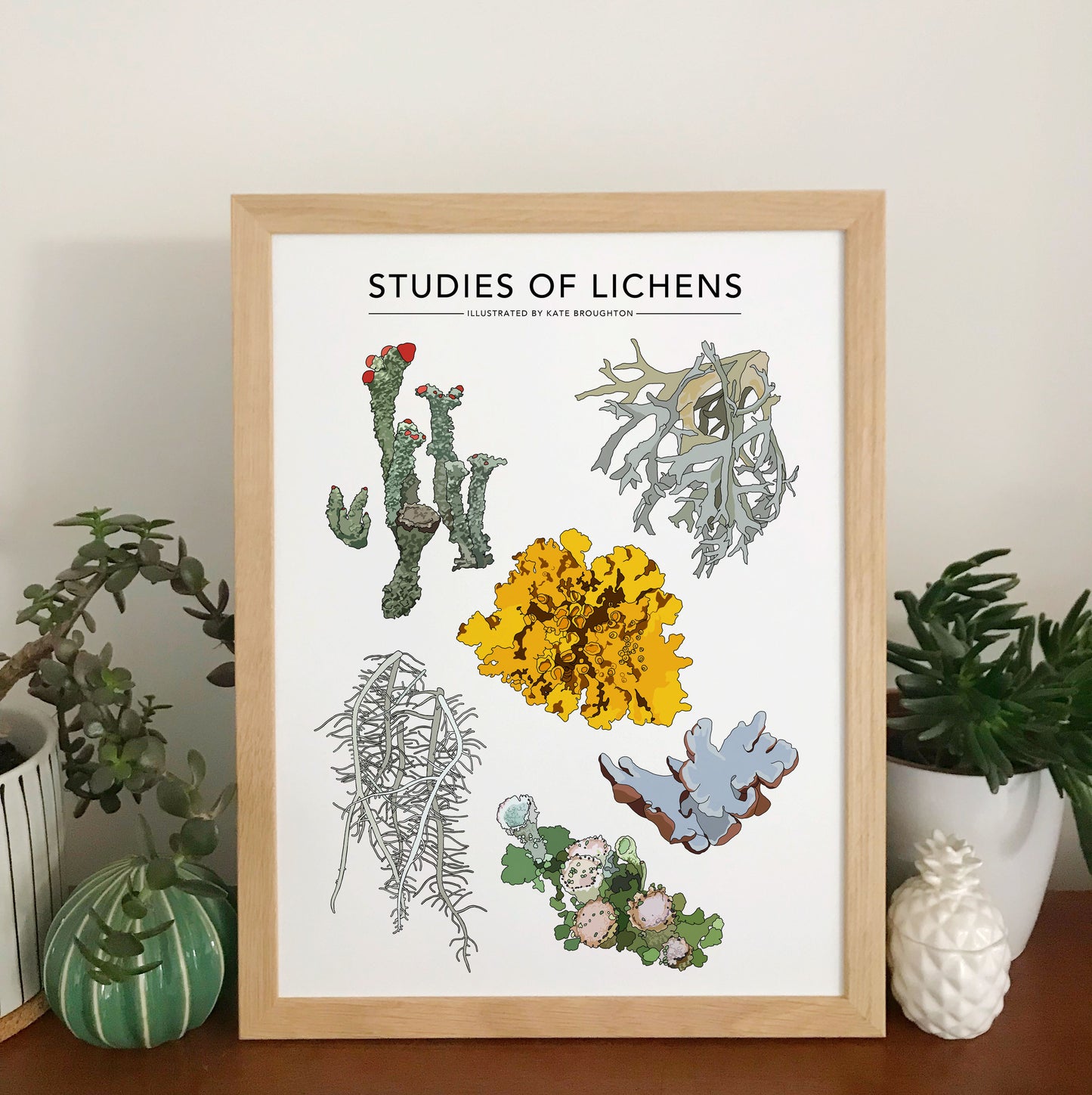 Studies Of Lichens Print - katebroughton