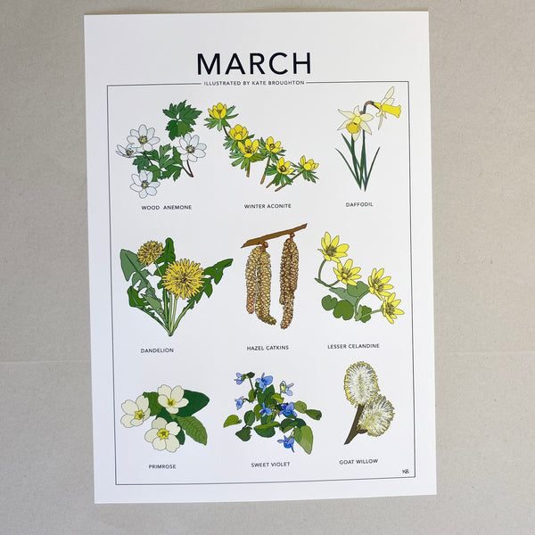 March wildflower nature print