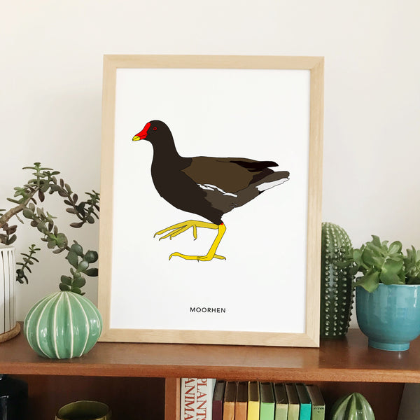 Moorhen bird print