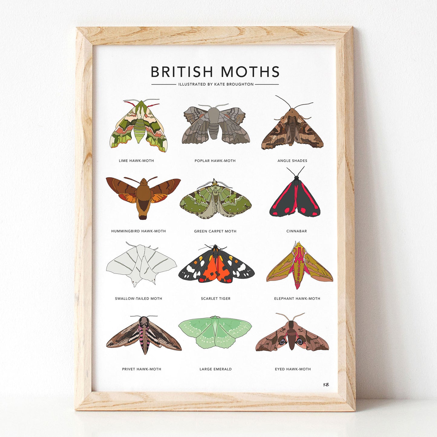 British Moths Print - katebroughton