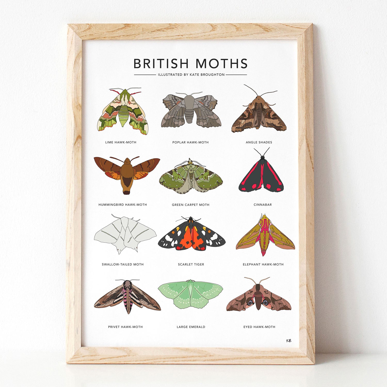 British Moths Print - katebroughton