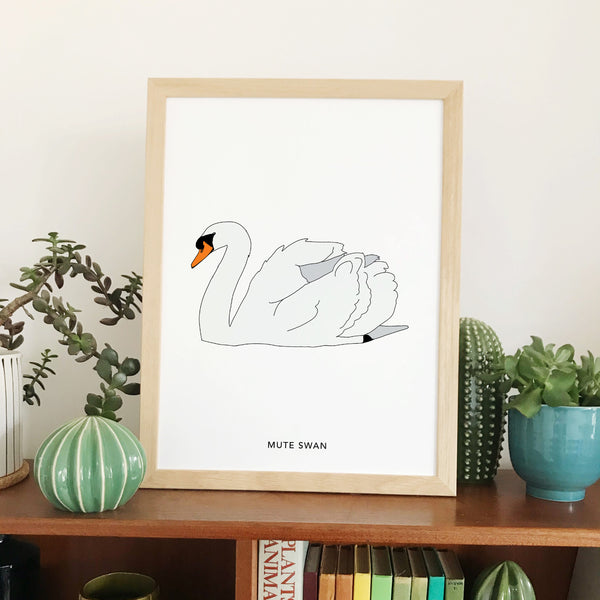 Mute Swan bird print