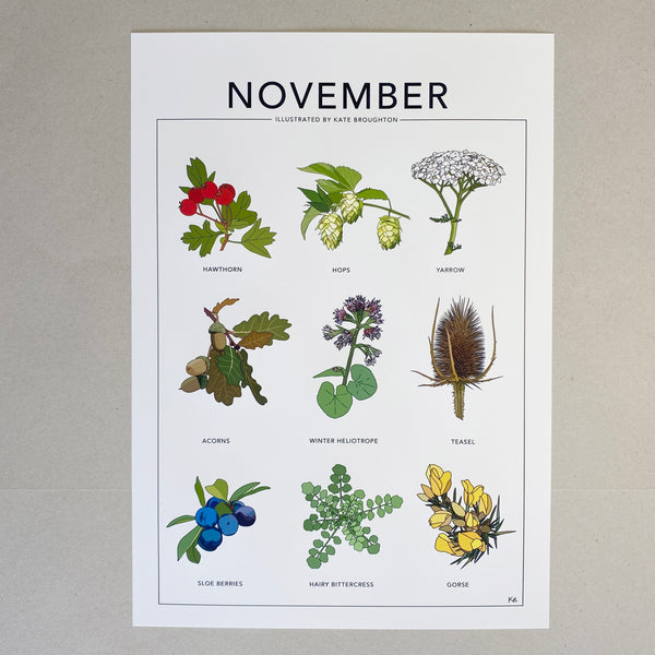 November wildflower nature print
