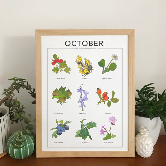 October wildflower nature print