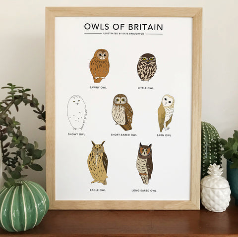 Owls of Britain Print