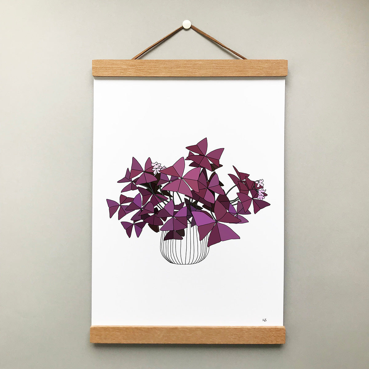 Oxalis Triangularis Plant Print - katebroughton