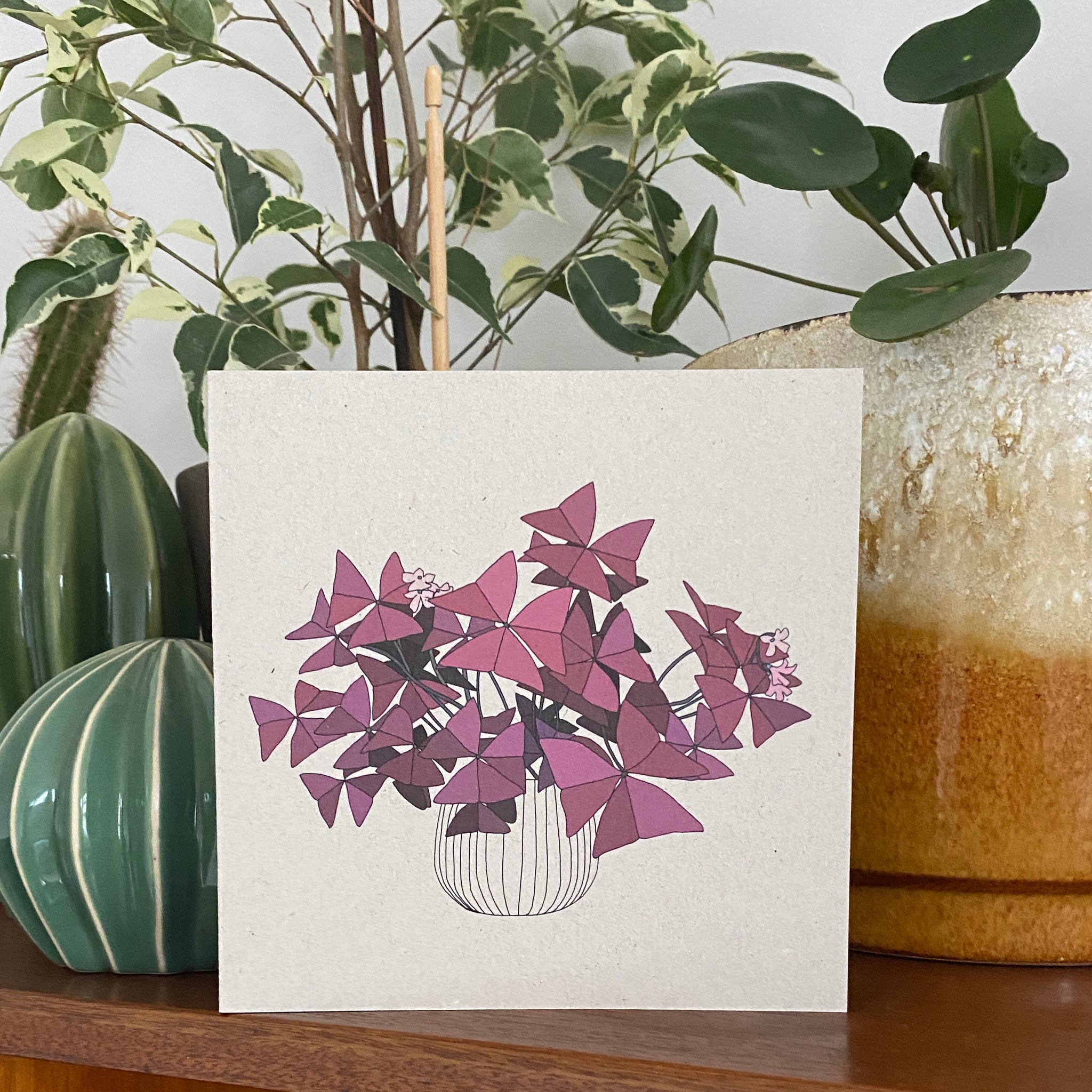 Oxalis Triangularis Houseplant Card