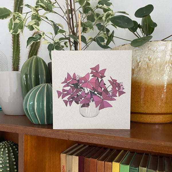 Oxalis Triangularis Houseplant Card