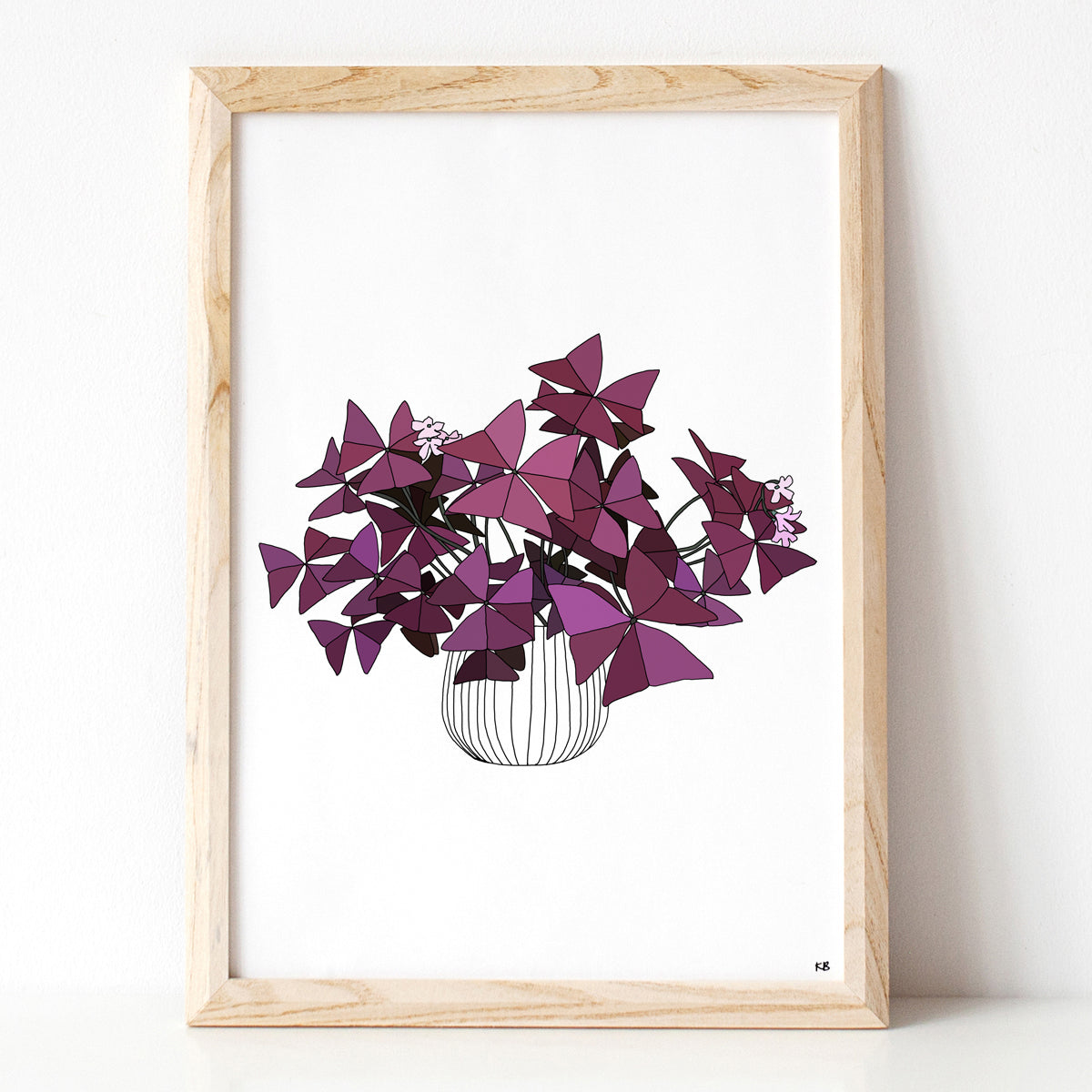 Oxalis Triangularis Plant Print - katebroughton