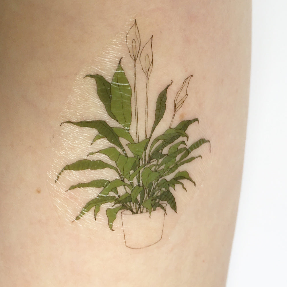 Plant Temporary Tattoos - katebroughton