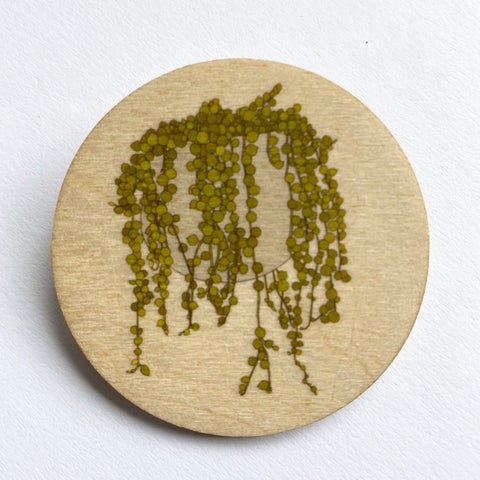 String of Pearls plant wooden brooch