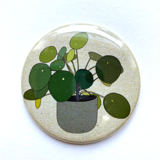 Pilea house plant pocket mirror