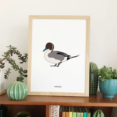 Pintail bird print
