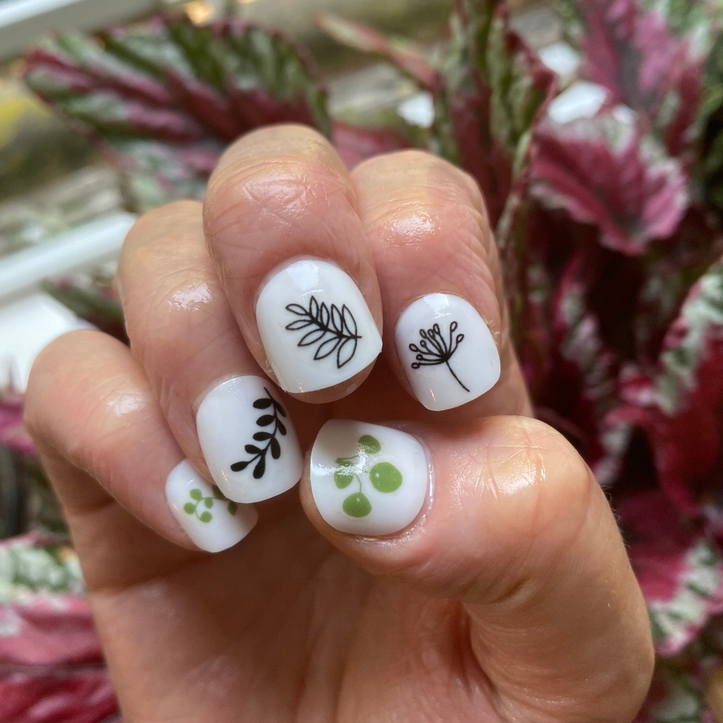 Plant Nail Art Transfers - katebroughton