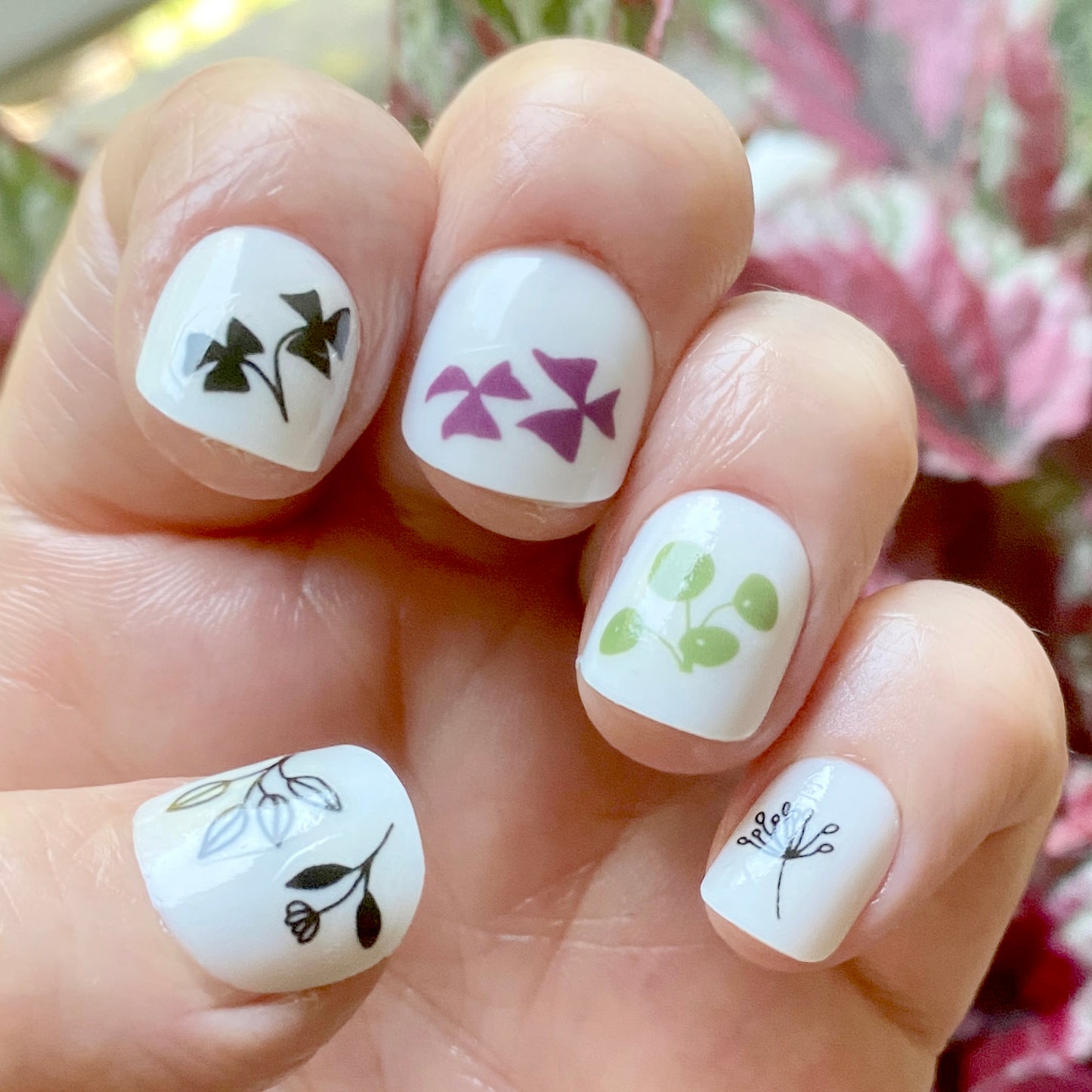 Plant Nail Art Transfers - katebroughton