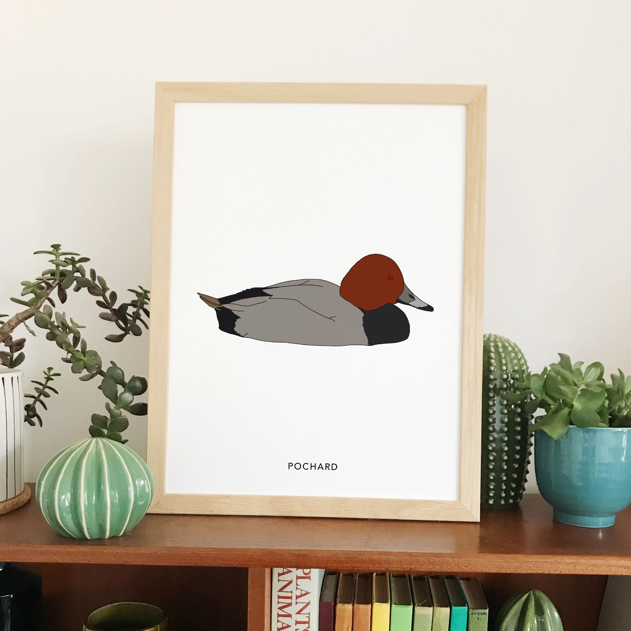 Pochard bird print